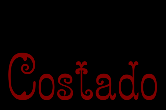 Costado: A Timeless Display Font for Web Design
